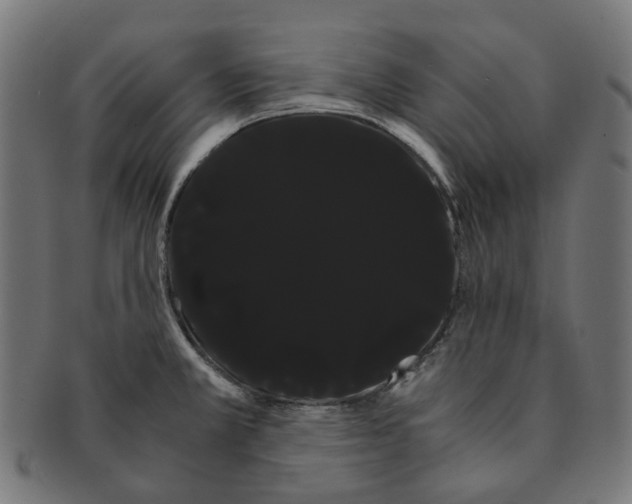X0000091241381200709061531