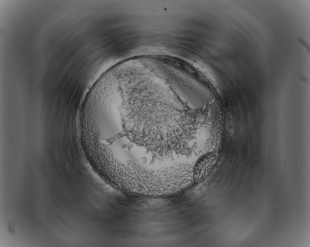 X0000091241382200709061531