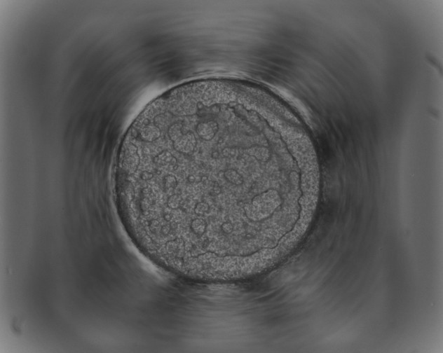 X0000091241383200709061531