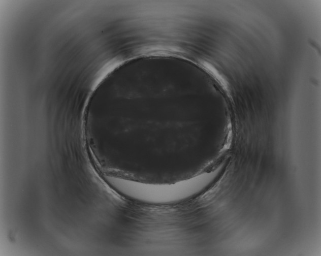X0000091241384200709061531