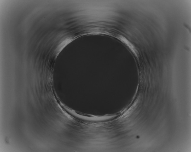X0000091241385200709061531