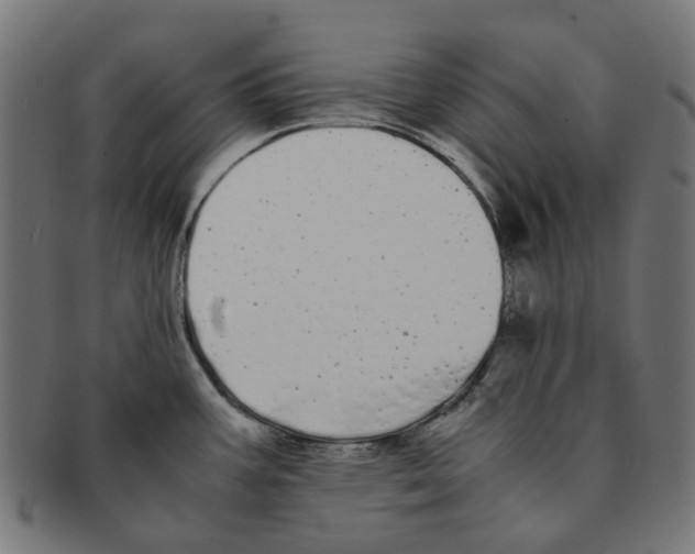 X0000091241387200709061531