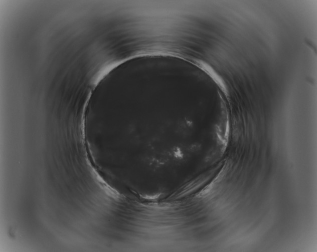 X0000091241388200709061531