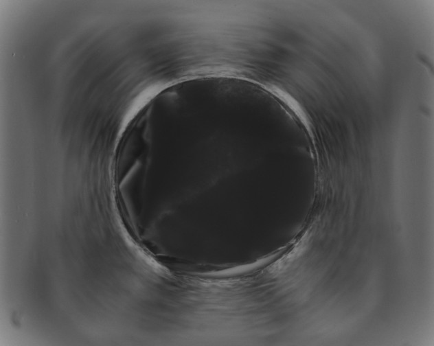 X0000091241389200709061531
