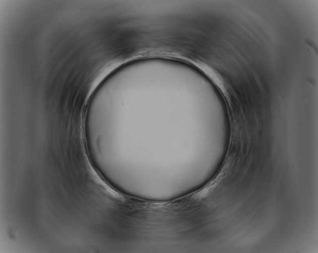 X0000091241390200709061531