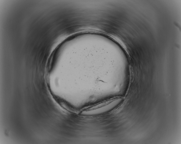 X0000091241391200709061531