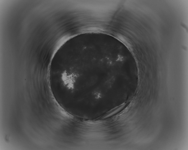 X0000091241392200709061530