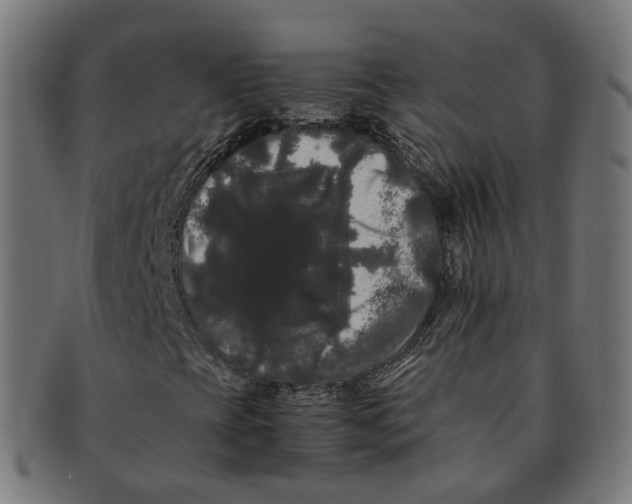 X0000091241393200709061530