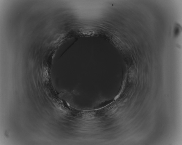 X0000091241394200709061530