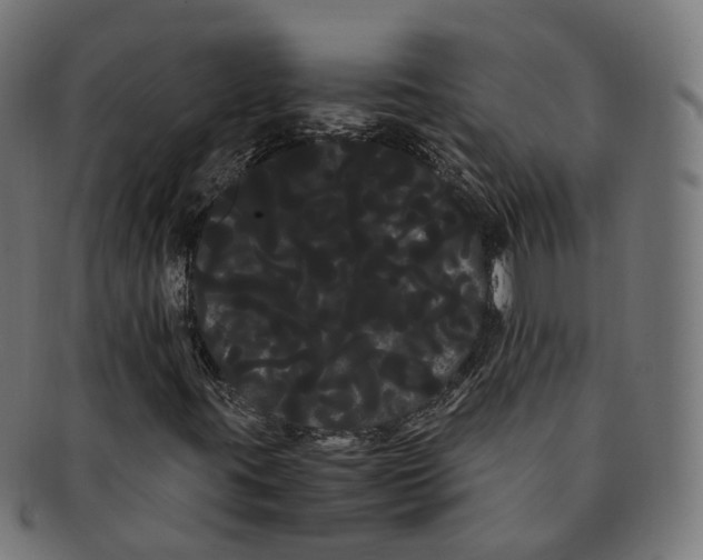 X0000091241395200709061530