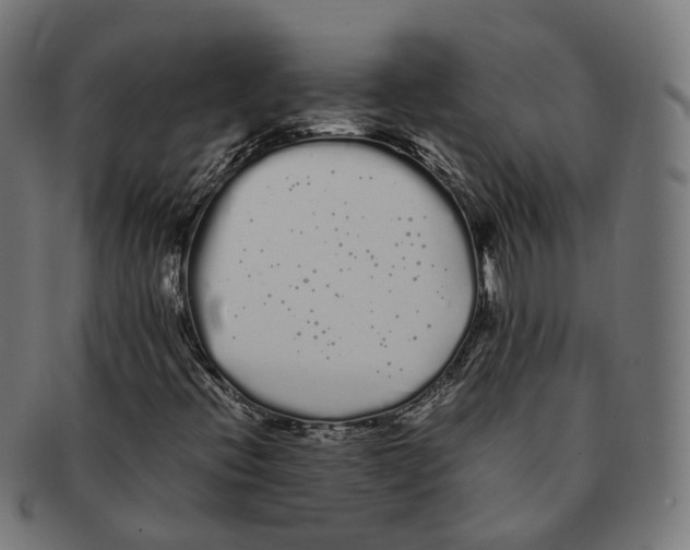 X0000091241396200709061530