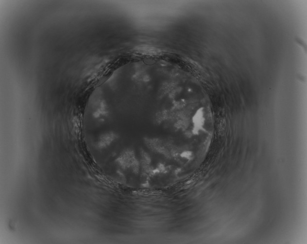 X0000091241397200709061530