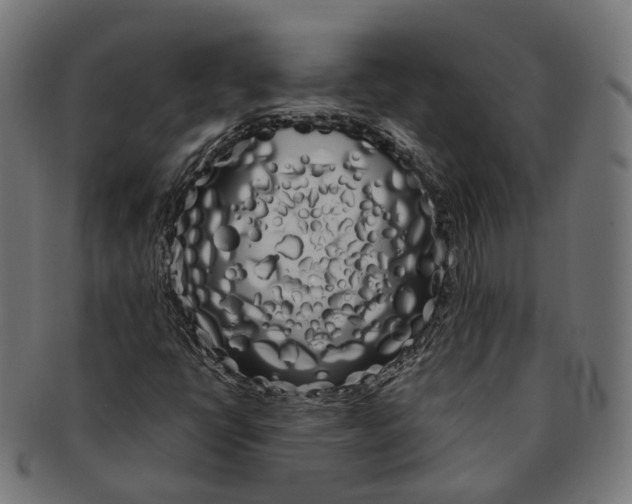 X0000091241398200709061530