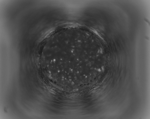 X0000091241399200709061530