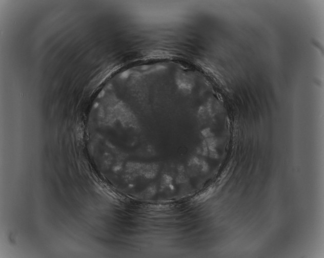 X0000091241401200709061530