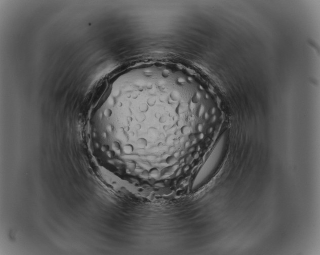 X0000091241402200709061530