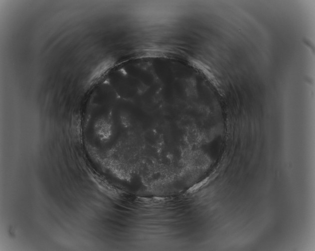 X0000091241403200709061530