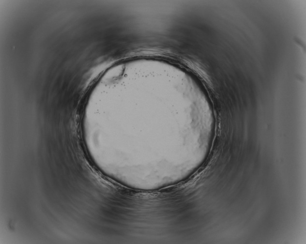 X0000091241404200709061530