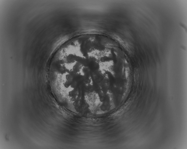 X0000091241405200709061530