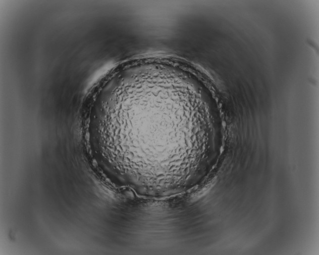 X0000091241406200709061530