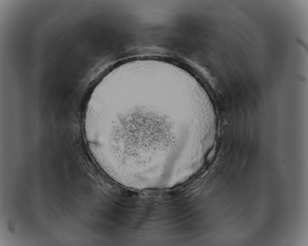 X0000091241407200709061530