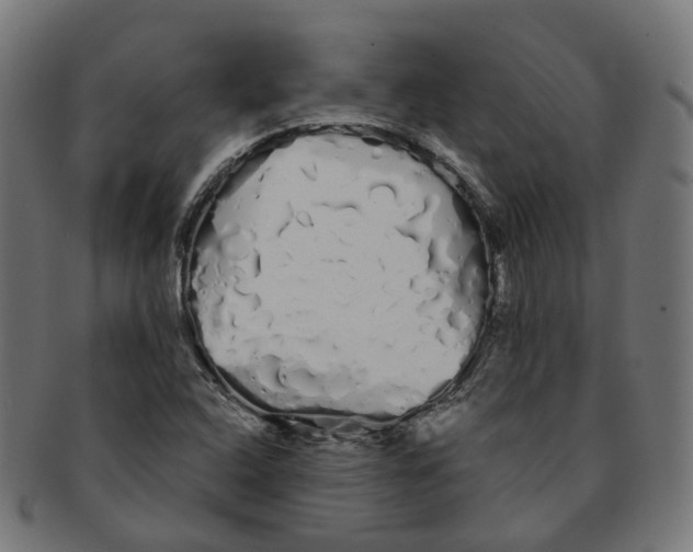 X0000091241408200709061530