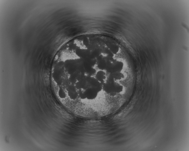 X0000091241409200709061530