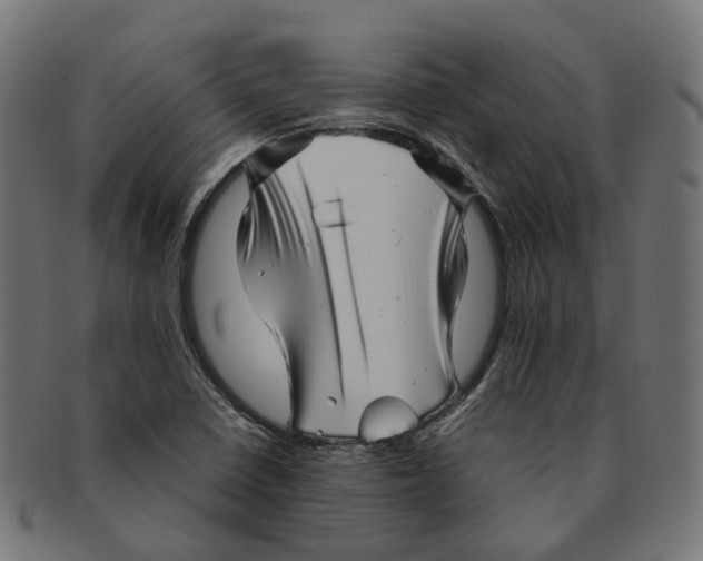 X0000091241410200709061530