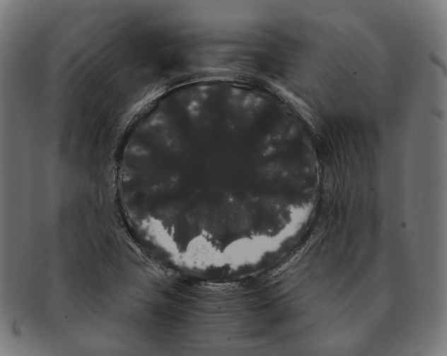 X0000091241411200709061530