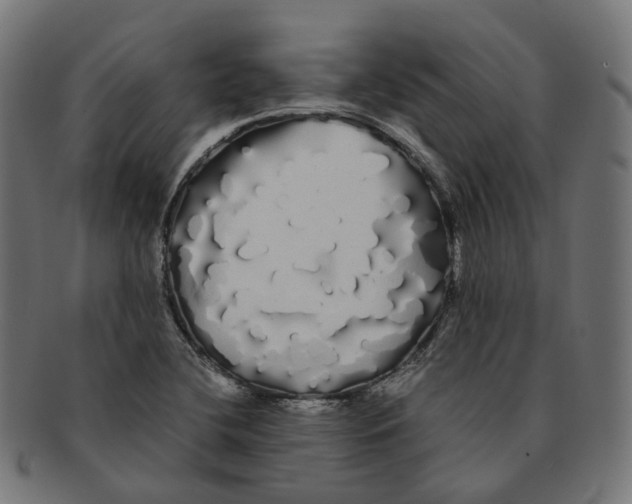 X0000091241412200709061530