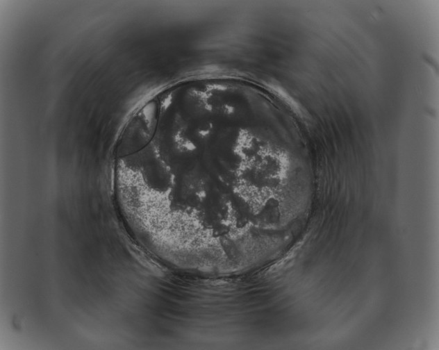 X0000091241413200709061530