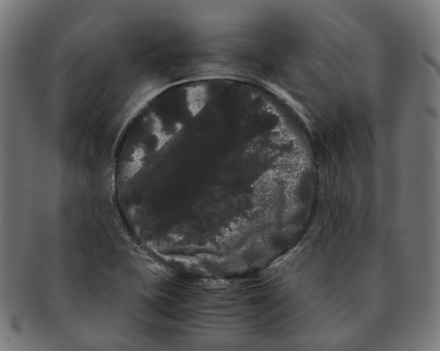 X0000091241415200709061530
