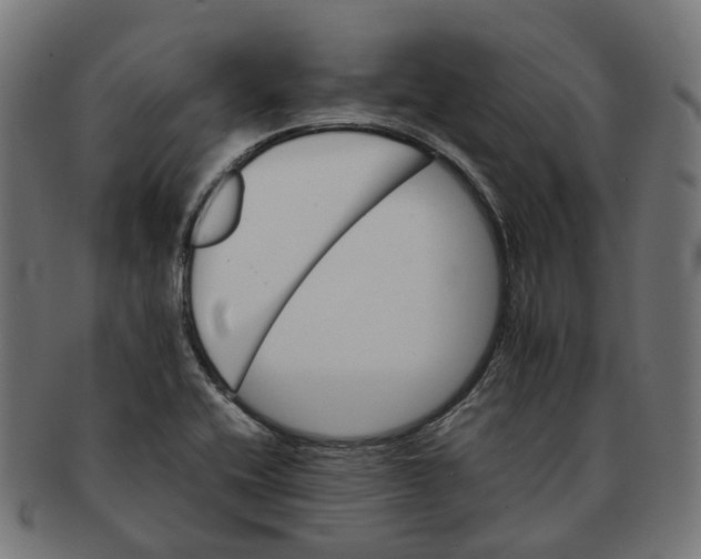 X0000091241416200709061530