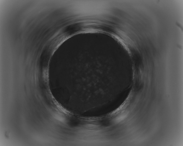 X0000091241417200709061530