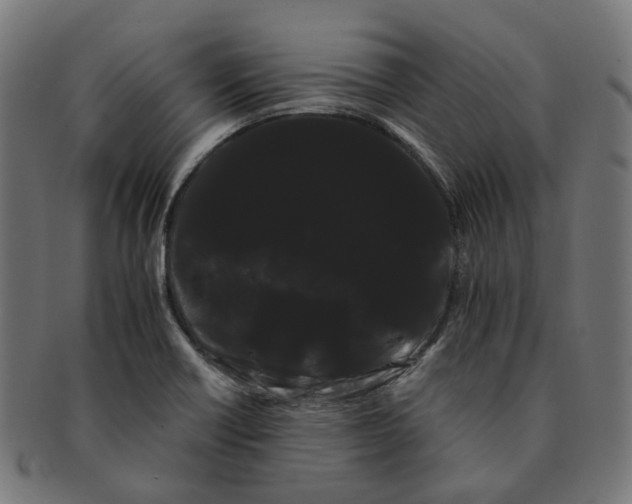 X0000091241418200709061530