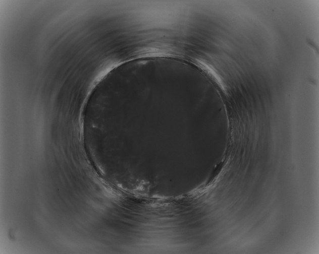 X0000091241419200709061530