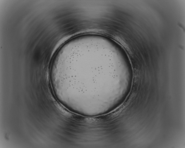 X0000091241420200709061530