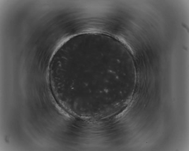 X0000091241421200709061530