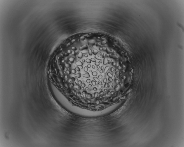 X0000091241422200709061530