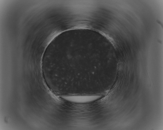 X0000091241423200709061530