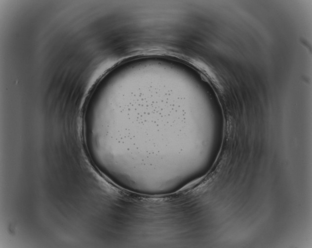 X0000091241424200709061530