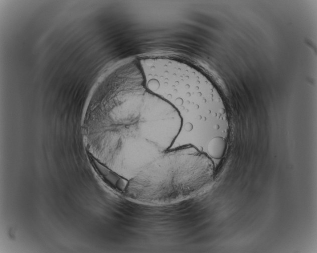 X0000091241425200709061530