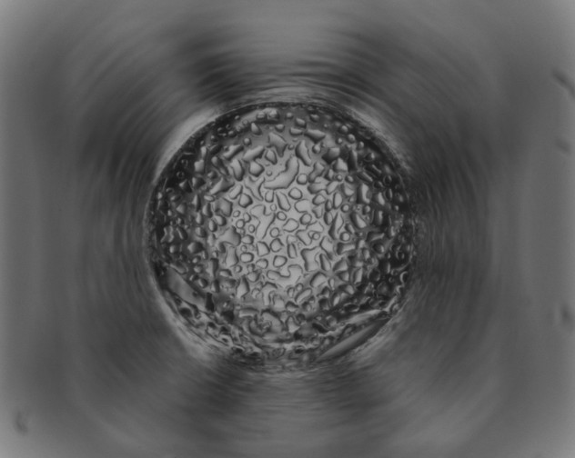 X0000091241426200709061530