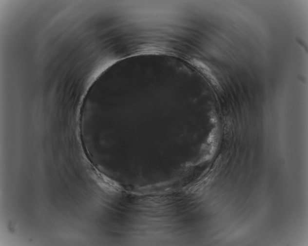 X0000091241427200709061530