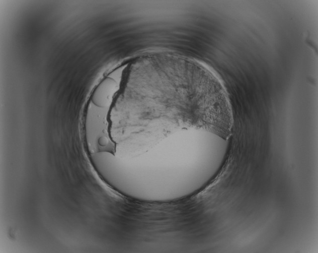 X0000091241429200709061530