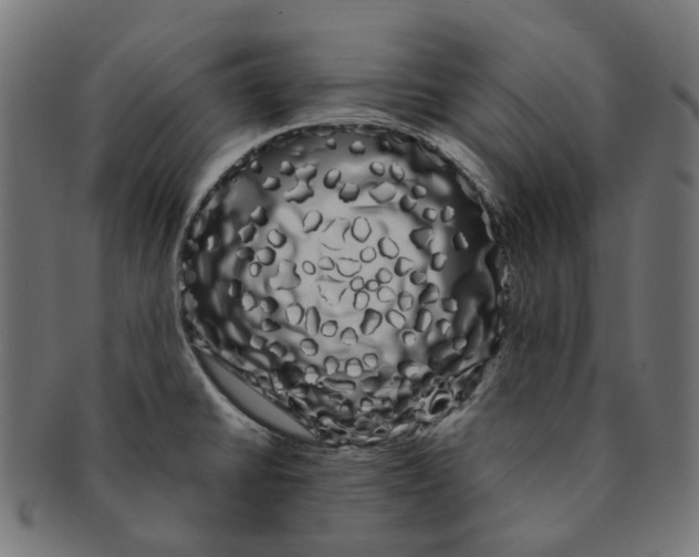 X0000091241430200709061530