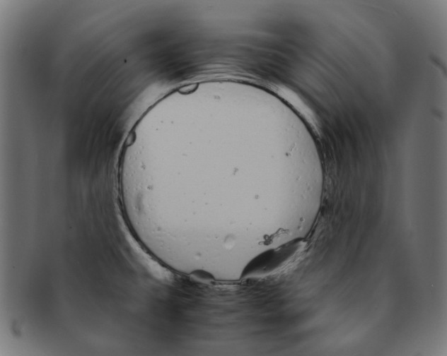 X0000091241431200709061530