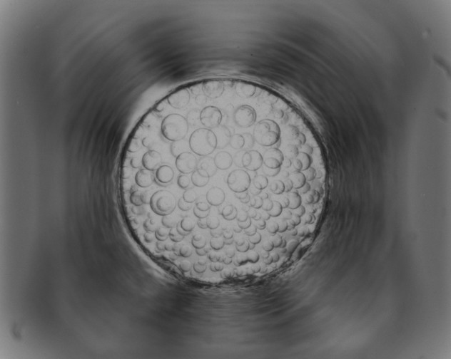 X0000091241432200709061530