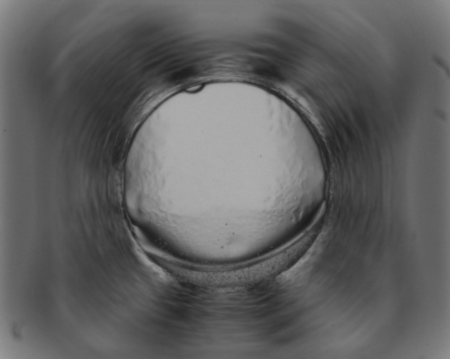 X0000091241433200709061530