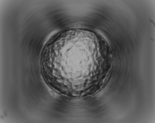 X0000091241434200709061530